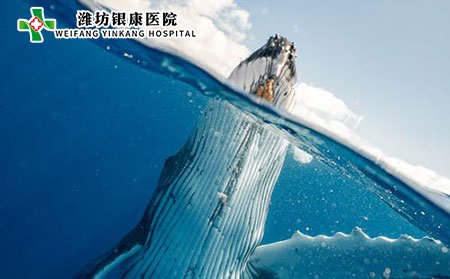濰坊皮膚病醫(yī)院提醒您紅斑狼瘡應該注意些什么?